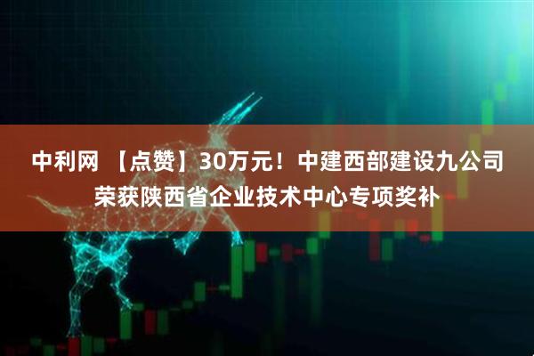 中利网 【点赞】30万元！中建西部建设九公司荣获陕西省企业技术中心专项奖补